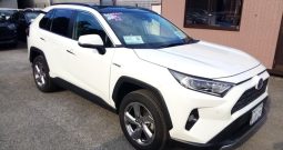 Toyota Rav 4 HYBRID G